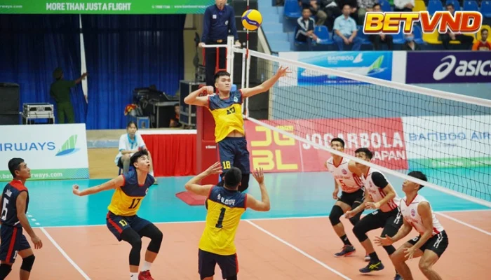 Cá Độ Bóng Chuyền: Hướng Dẫn Toàn Diện Từ A Đến Z 2025