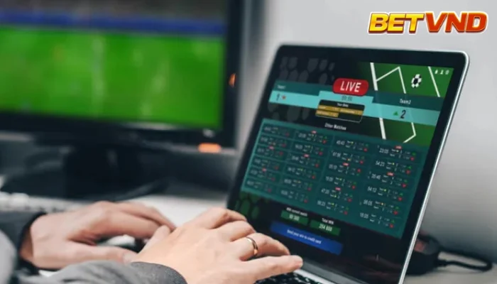 Cá độ bóng đá là gì?