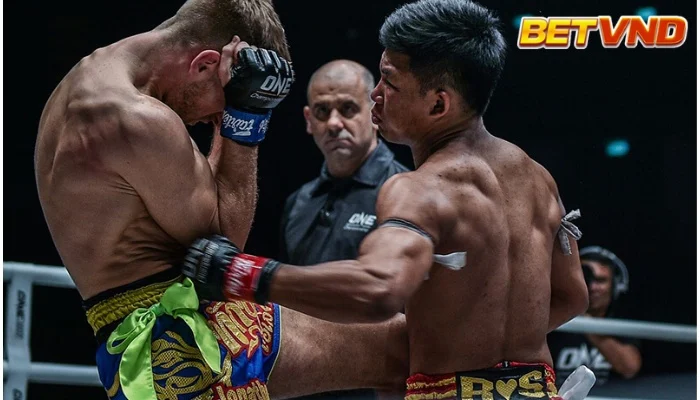 Hướng Dẫn Toàn Diện Về Cá Độ Boxing (Cược Quyền Anh) 2025