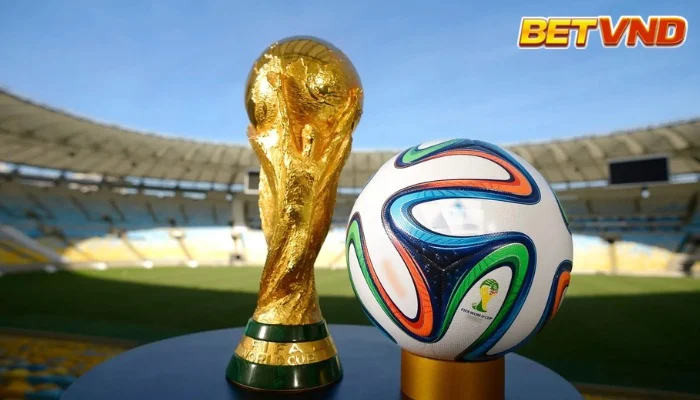 Các Giải Đấu Bóng Đá: 5 Giải Đấu Phổ Biến Nhất Thế Giới