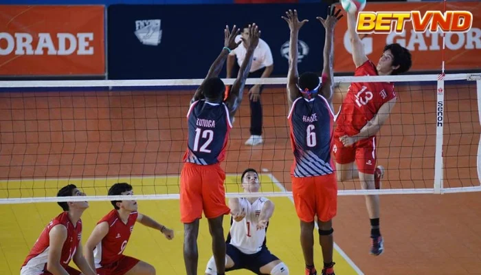 Cách cá cược bóng chuyền