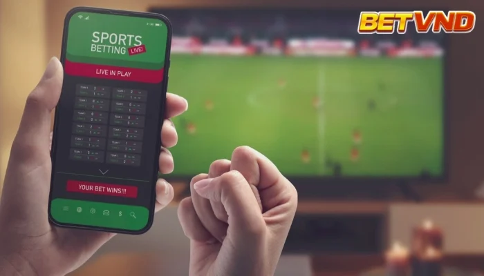 Kèo Chấp Là Gì? Các Loại Kèo Chấp Handicap Phổ Biến Cần Biết