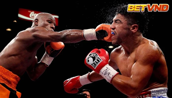 Luật cược Boxing