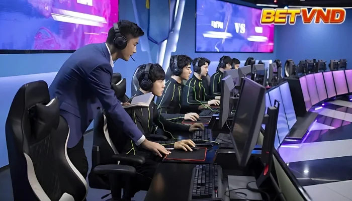 Top nhà cái cá cược esport