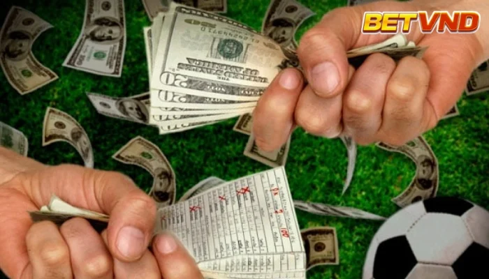 Vì Sao Cá Độ Bóng Đá Luôn Thua | Giải Mã Những Yếu Tố Quan Trọng 2025