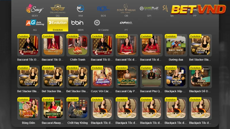 Nhà Cung Cấp Game Hàng Đầu tại Sòng Bài BETVND