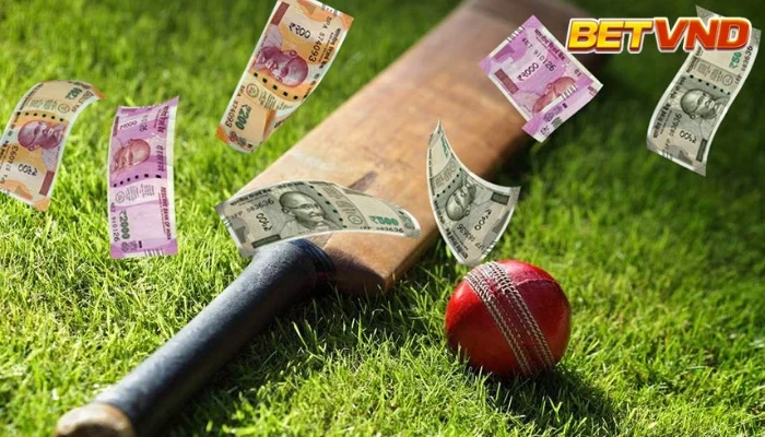 Cá Cược Cricket: Từ A Đến Z Từng Bước Bet Cricket Dễ Nhất 2025