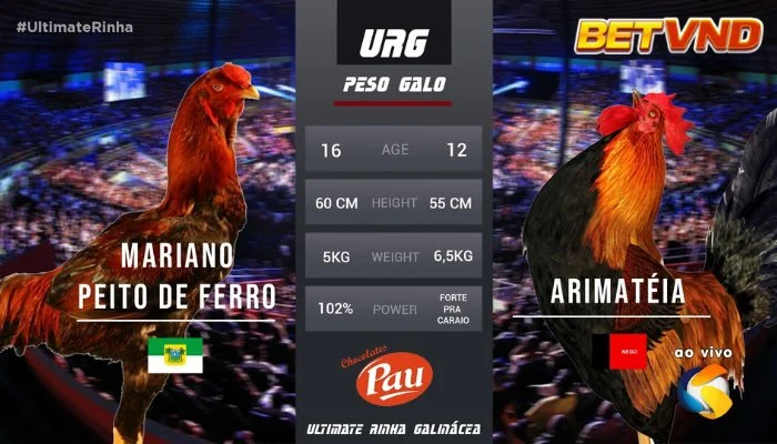 Tìm hiểu thuật ngữ đá gà